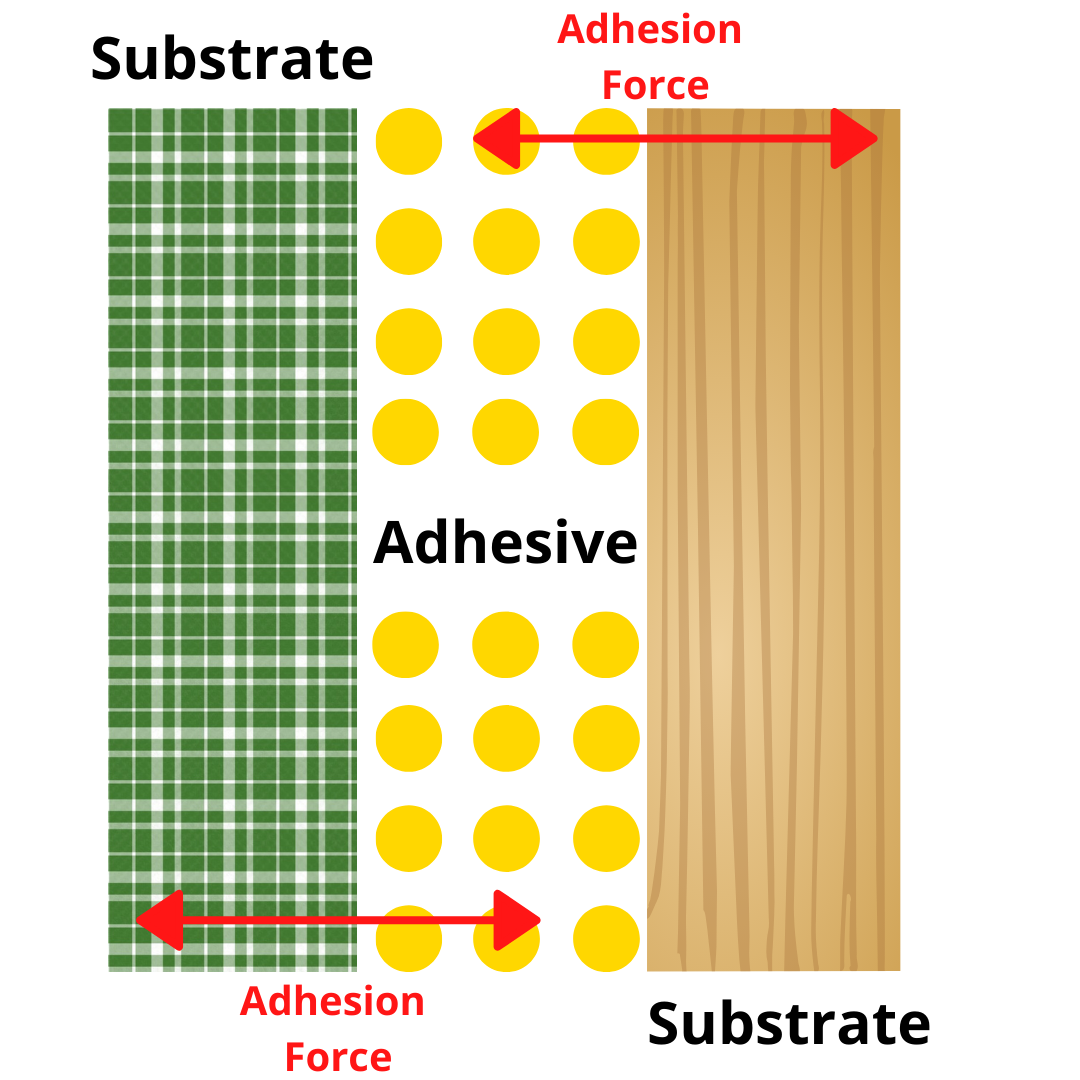 adhesion force